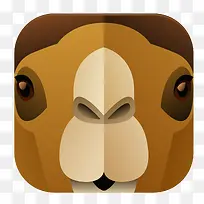 松鼠图标PNG下载-空若网 松鼠图标PNG下载-空若网