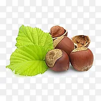 ʳƷװ��-������