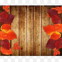 ľ�屳��-������