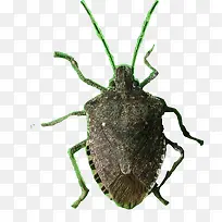 ��ƨ�������ɫ���Ӵ����ƨר��-������