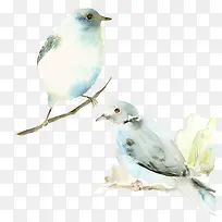 dzɫϵˮ²Ê»-¿ÕÈôÍø dzɫϵˮ²Ê»-¿ÕÈôÍø