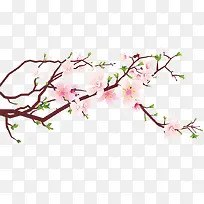 春天桃花树枝-空若网 春天桃花树枝-空若网