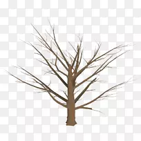 ��ֲ֦��-��ľ�滮-������