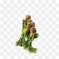 ������ɫ�߲�-������