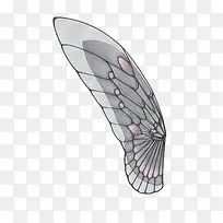 背部展开的透明翅膀-空若网 背部展开的透明翅膀-空若网