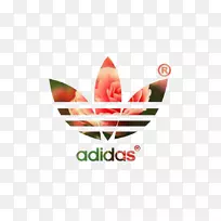 阿迪达斯原装耳环鞋墙纸-三叶草-空若网 阿迪达斯原装耳环鞋墙纸-三叶草-空若网