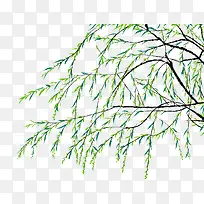 �����ֻ���֦֦Ҷ�廭-������