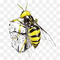 �ֻ��۷����-������