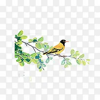 春天树枝麻雀-空若网 春天树枝麻雀-空若网