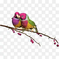 ��֦�ϵ������زļ�԰-������