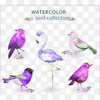 水彩鸟儿矢量素材-空若网 水彩鸟儿矢量素材-空若网