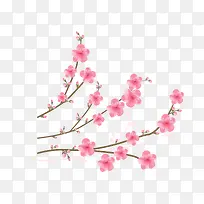 �һ�֦�����������-������