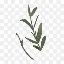 地球日手绘一株草-空若网 地球日手绘一株草-空若网