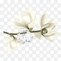 花卉素材-空若网 花卉素材-空若网