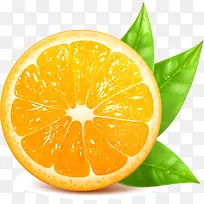 橙色简约橘子-空若网 橙色简约橘子-空若网