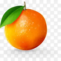 ��ɫ��ͨ����-������