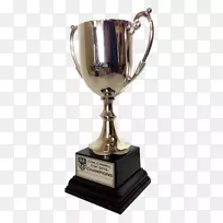 昆士兰橄榄球联盟奖杯澳大利亚棒球联盟体育冠军-空若网 昆士兰橄榄球联盟奖杯澳大利亚棒球联盟体育冠军-空若网