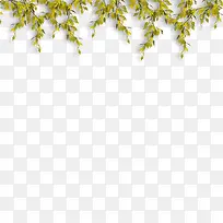 黄绿色清新树枝边框纹理-空若网 黄绿色清新树枝边框纹理-空若网