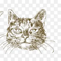 卡通可爱小动物装饰设计动物头像-空若网 卡通可爱小动物装饰设计动物头像-空若网