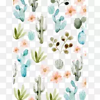 仙人掌科肉质植物壁纸-仙人掌-空若网 仙人掌科肉质植物壁纸-仙人掌-空若网