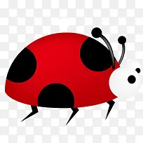 手绘红色瓢虫昆虫-空若网 手绘红色瓢虫昆虫-空若网