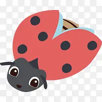 昆虫-空若网 昆虫-空若网