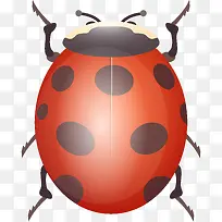 �������ʸ���ز�-������