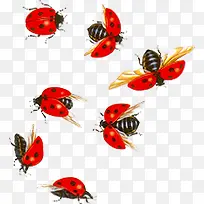 ư³æ-¿ÕÈôÍø ư³æ-¿ÕÈôÍø