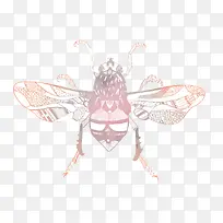 ʸ������-������