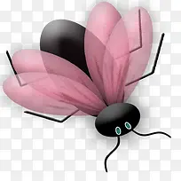 粉翅膀小虫子-空若网 粉翅膀小虫子-空若网