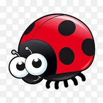 ��ͨ����ư���������-������