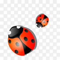 红色七星瓢虫矢量图-空若网 红色七星瓢虫矢量图-空若网