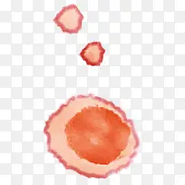 ��ɫˮ��-������