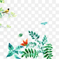 ˮ��Ҷ��С��߿�ͼ��-������