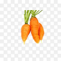 蔬菜图标食物图片-空若网 蔬菜图标食物图片-空若网