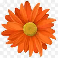 花橙色剪贴画-橙色花-空若网 花橙色剪贴画-橙色花-空若网