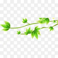 绿色叶子绿色树枝春天装饰-空若网 绿色叶子绿色树枝春天装饰-空若网