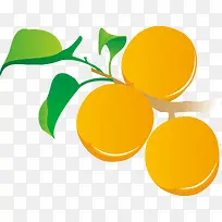 矢量黄色橙子效果元素免抠素材-空若网 矢量黄色橙子效果元素免抠素材-空若网