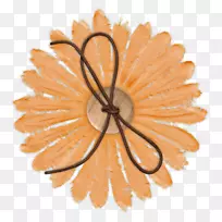 花卉剪贴画-橙色花-空若网 花卉剪贴画-橙色花-空若网