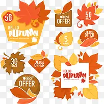 ʸ����ɫ��Ҷ��Ӣ��-������