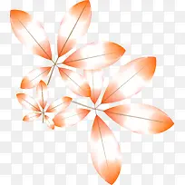 橙色树叶-空若网 橙色树叶-空若网