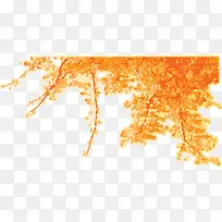 橙色树叶-空若网 橙色树叶-空若网