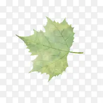 ��ͨ��Ҷ����ز�-������