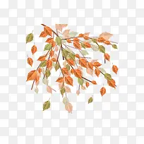 秋叶免抠下载-空若网 秋叶免抠下载-空若网