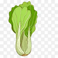 ��ɫ�����߲�Ԫ��-������