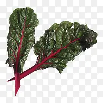 绿叶蔬菜-空若网 绿叶蔬菜-空若网