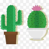 仙人草肉植物-空若网 仙人草肉植物-空若网