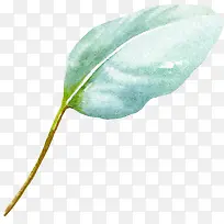 ˮ��Ҷ��-������