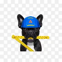 创意小狗拟人化形象设计-空若网 创意小狗拟人化形象设计-空若网