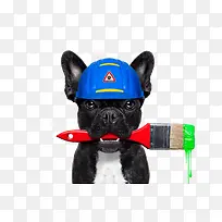 ����С�����˻��������-������